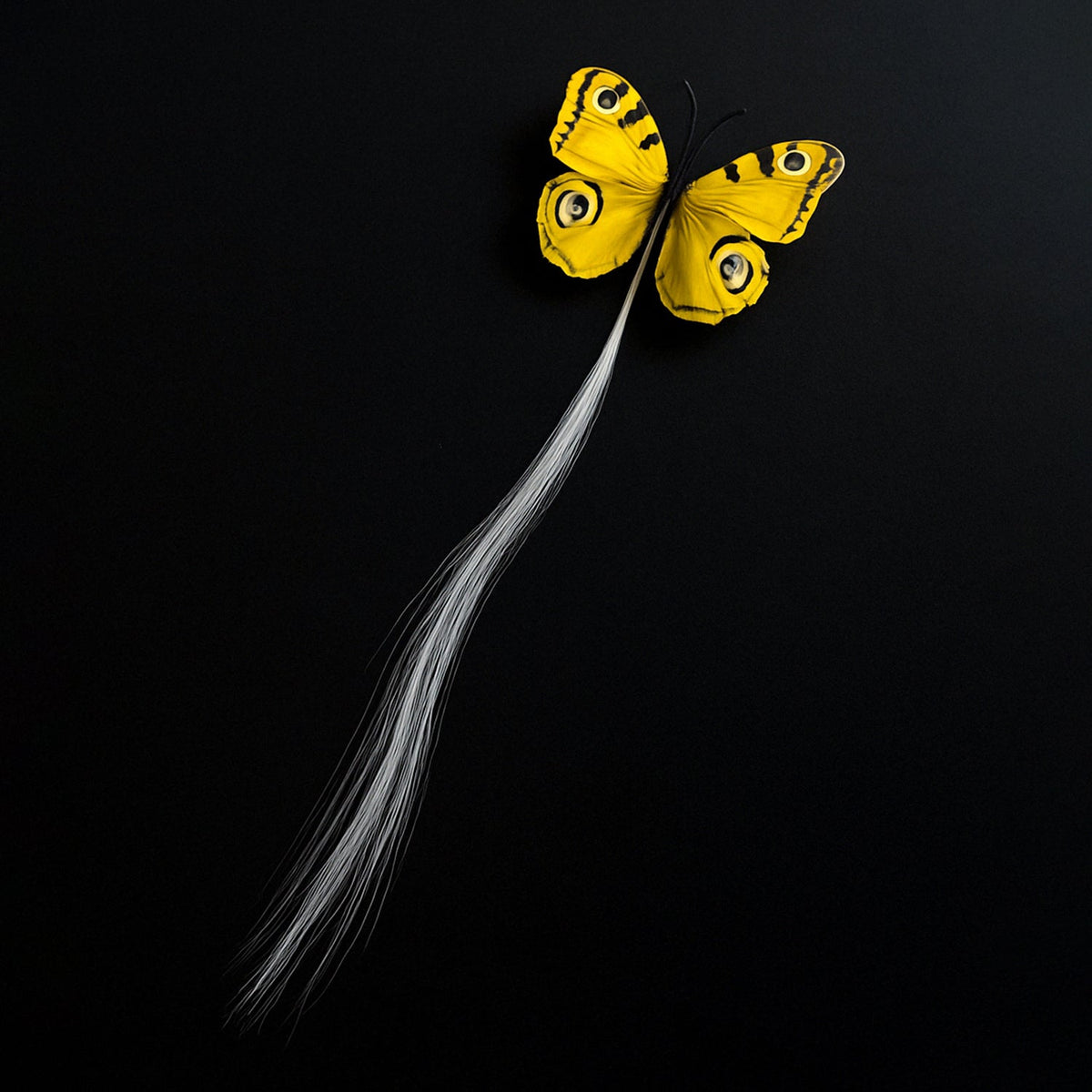 A yellow butterfly hair clip with long white fiber optic strands is positioned against a solid black background.