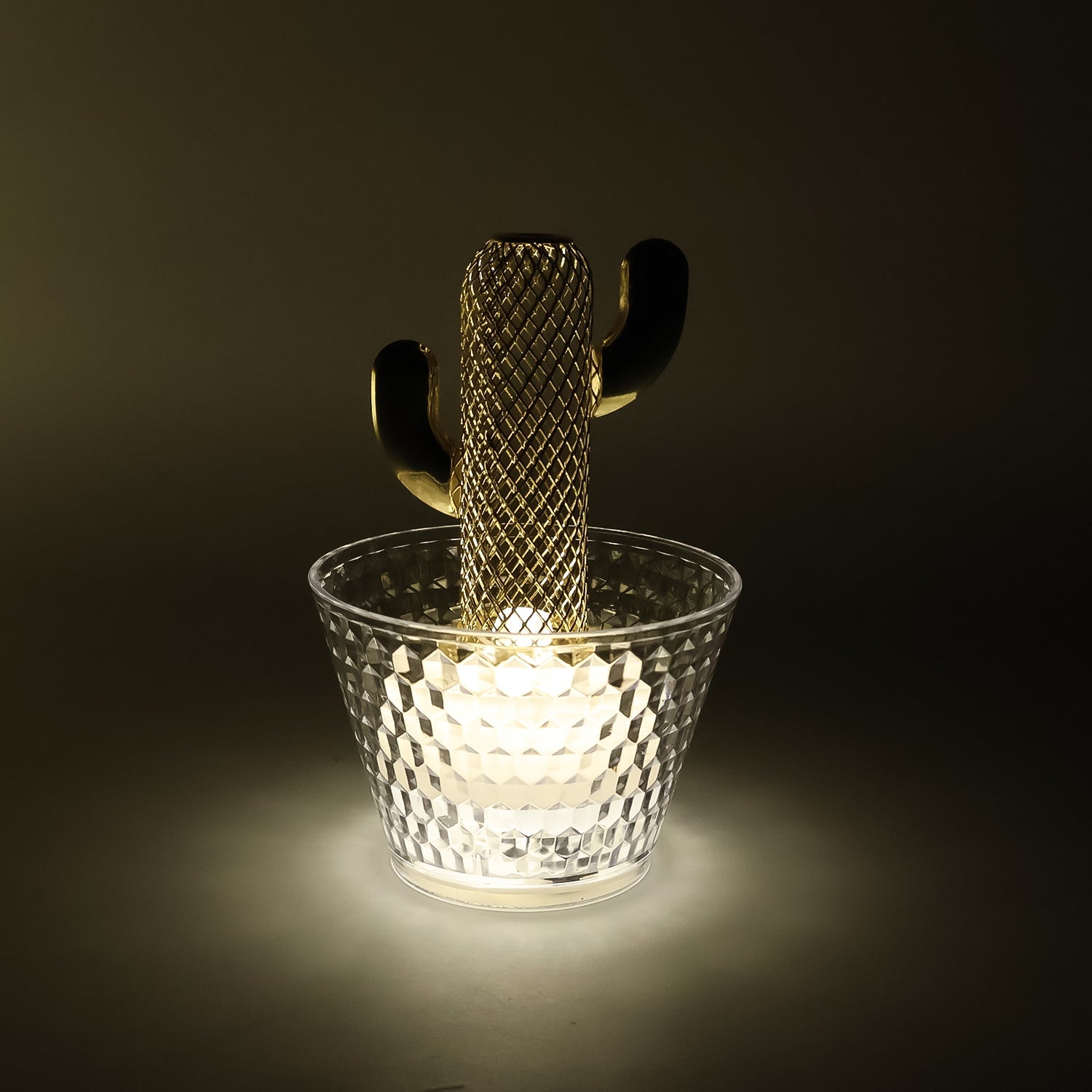 Packaged set of 6 LED flameless decorative cactus candles ready for gifting