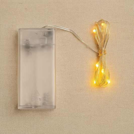 Copper wire string fairy lights with warm white 30 LED bulbs glowing beautifully.