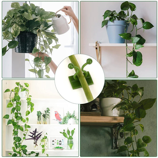 Self-adhesive money plant support clip from Indo Glow
