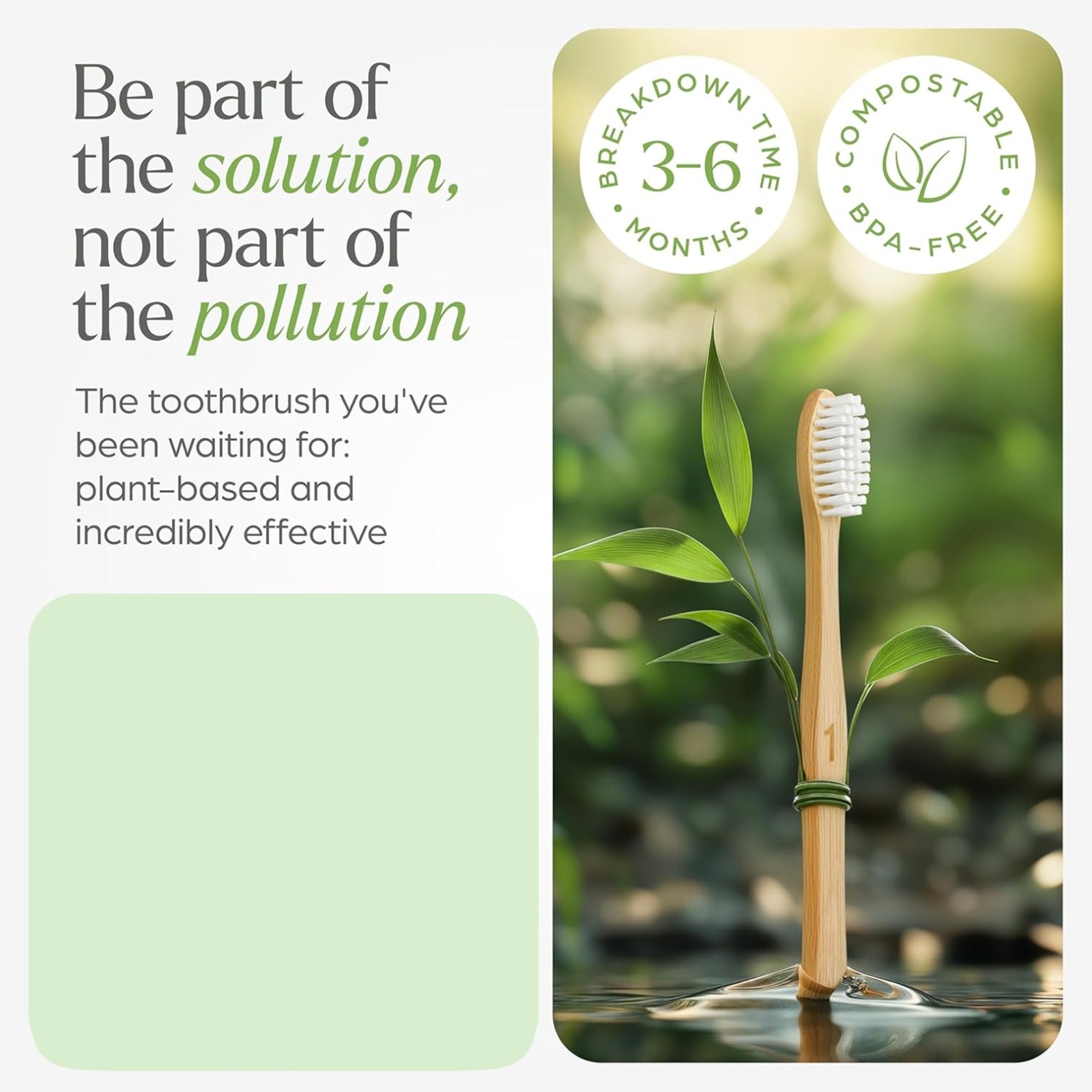 A bamboo toothbrush with white bristles stands in water with green leaves, next to text about being part of the solution.