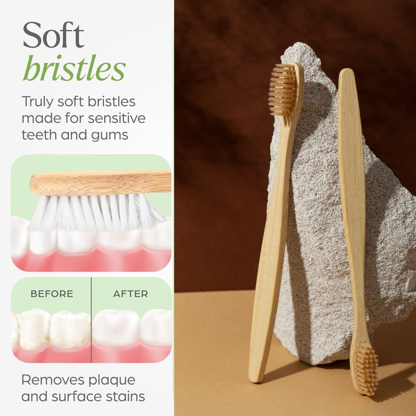 Two bamboo toothbrushes leaning against a light-colored rock, with an inset showing a toothbrush cleaning teeth and