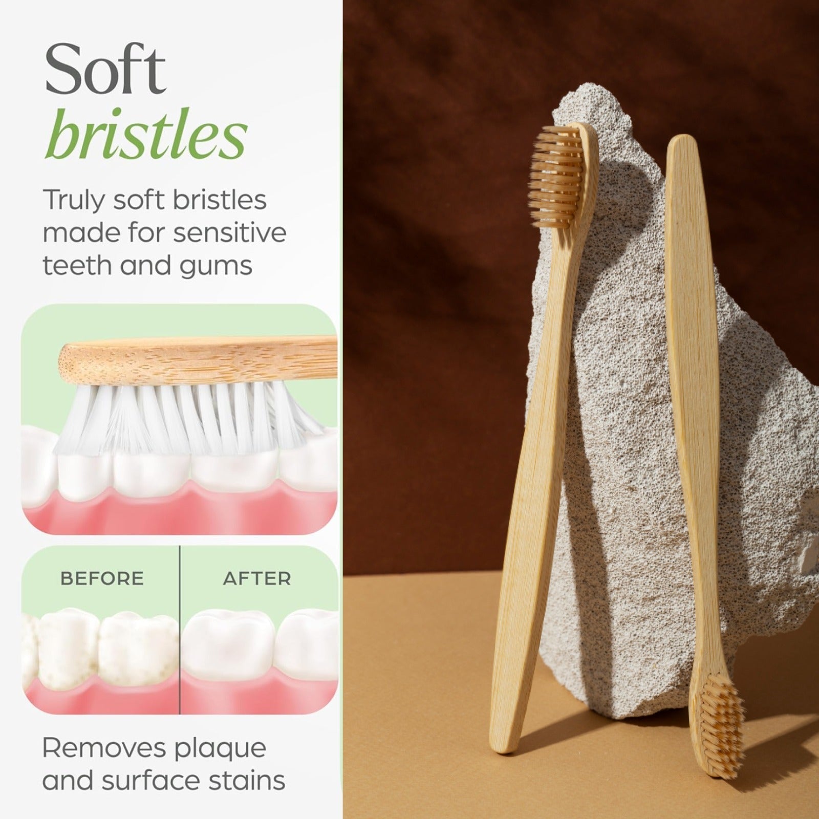 Two bamboo toothbrushes leaning against a light-colored rock, with an inset showing a toothbrush cleaning teeth and