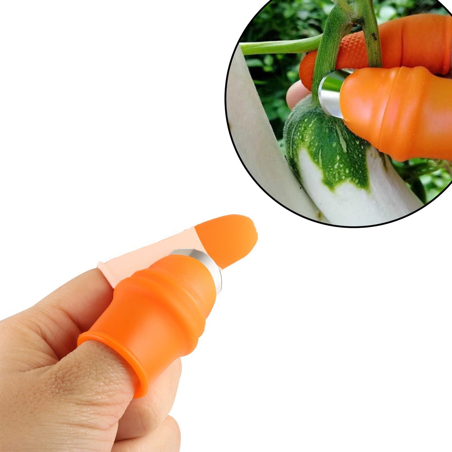 A hand wearing an orange thumb cutter and a beige finger protector, harvesting a small green vegetable from a plant.