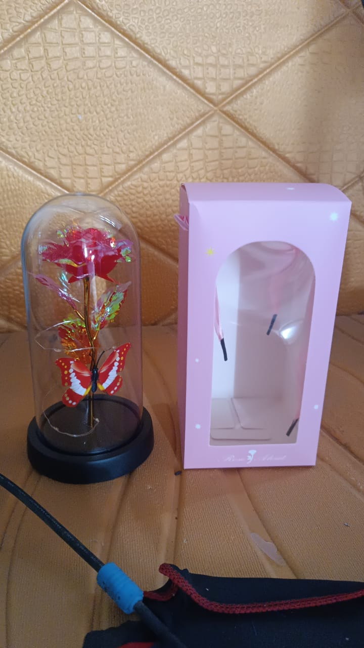 Romantic night light with LED eternal rose and decorative butterfly dome