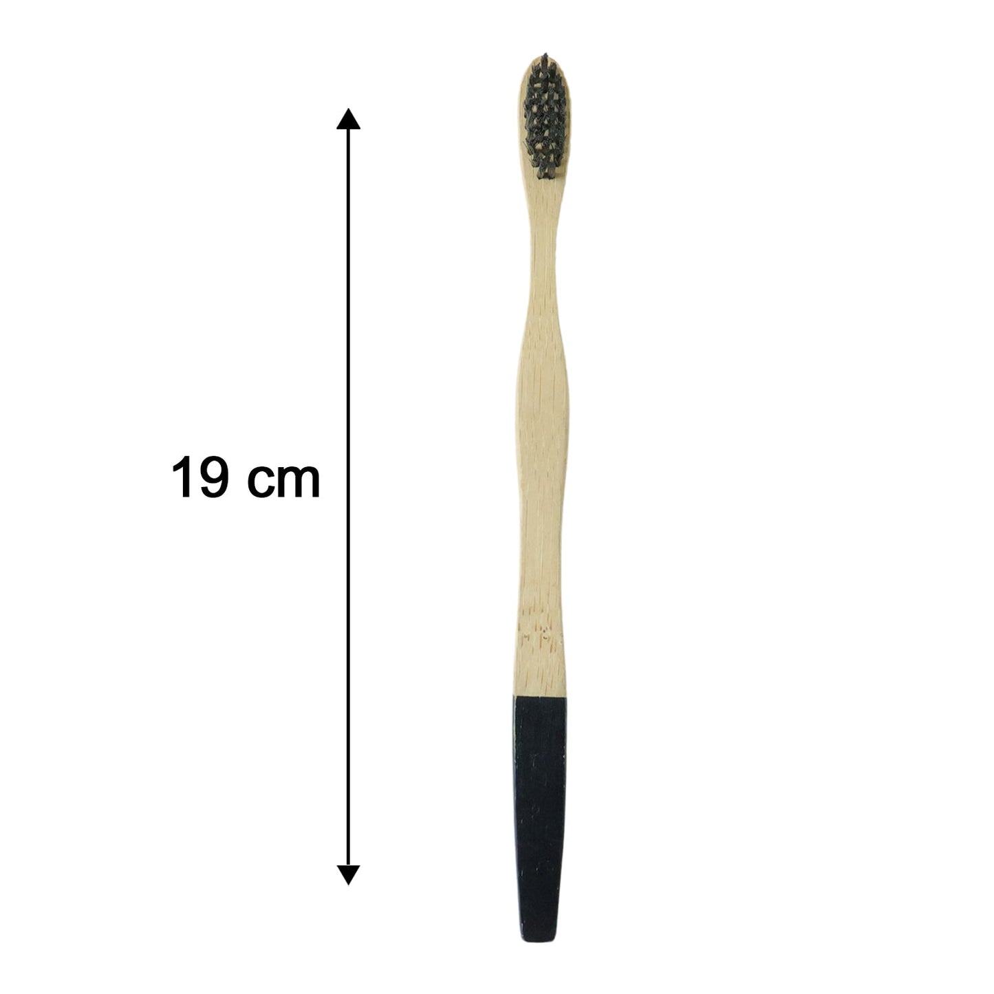 Size comparison of eco-friendly bamboo toothbrush