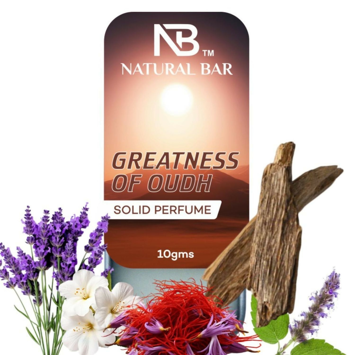 Greatness Of Oud Solid Perfume, Alcohol Free Long Lasting Fragrance for Male and Female (10gms)