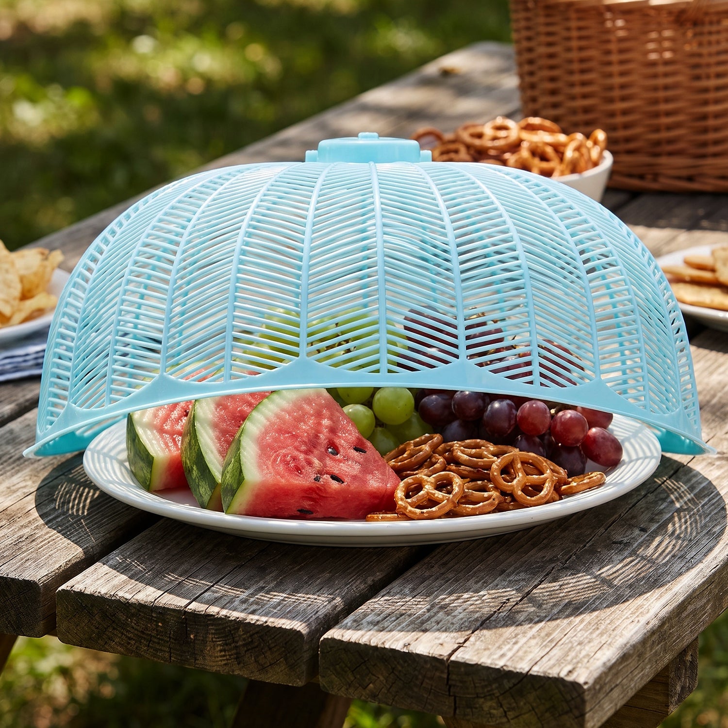 Light blue plastic mesh food cover dome on a picnic table, covering a plate of fruit and pretzels.