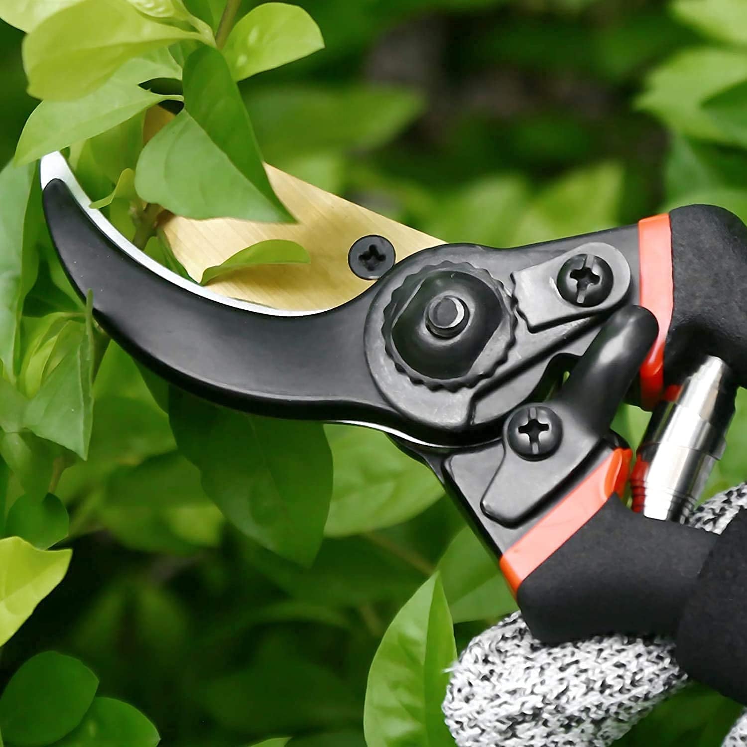 Close-up of red and black pruning shears with a gloved hand, positioned near green leaves.