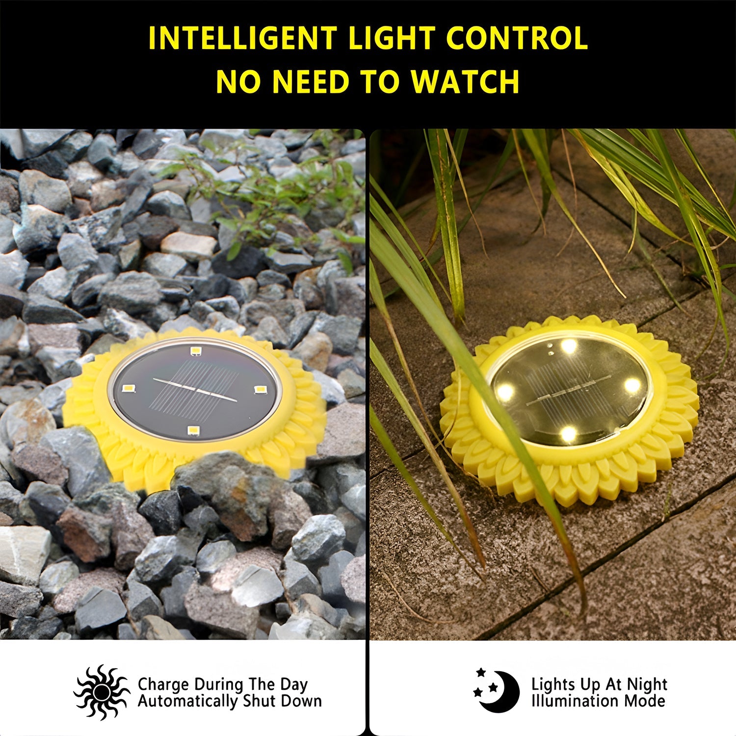 Solar powered LED garden lights installed along pathway