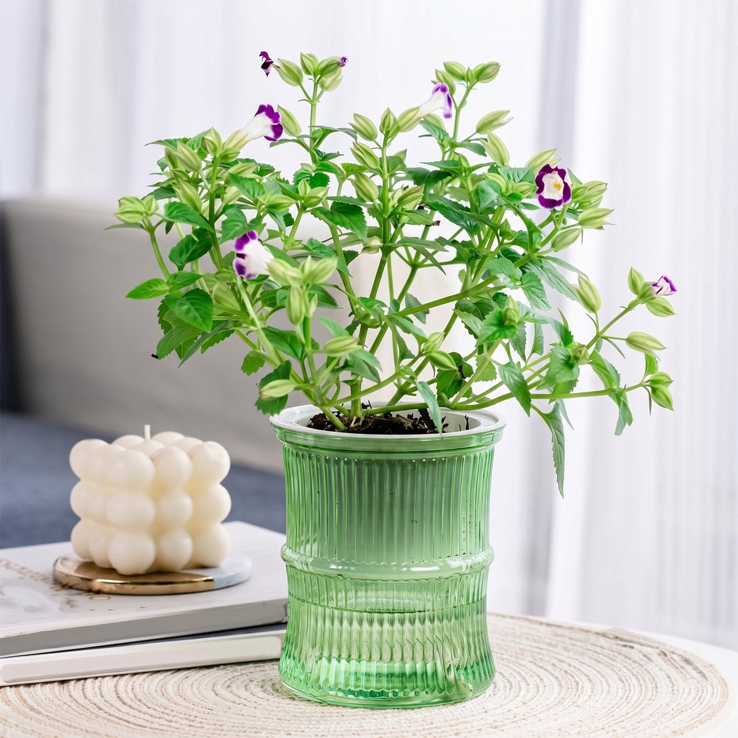 Plastic watering planter with cotton wick system