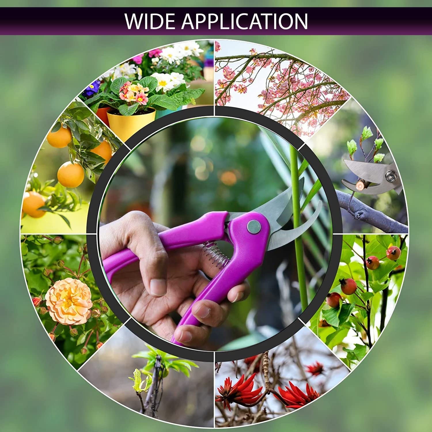 A circular collage of images showing pink pruning shears in use for various gardening tasks, including flowers, branches