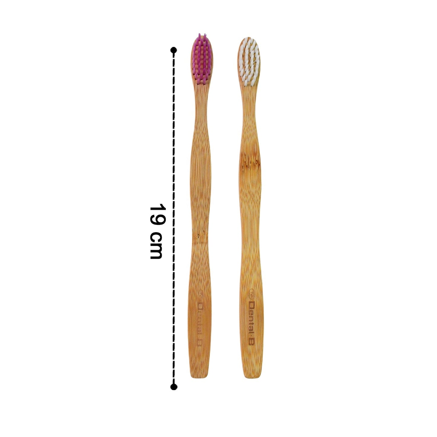 Two bamboo toothbrushes, one with pink and one with white bristles, standing upright with a 19 cm measurement indicator.