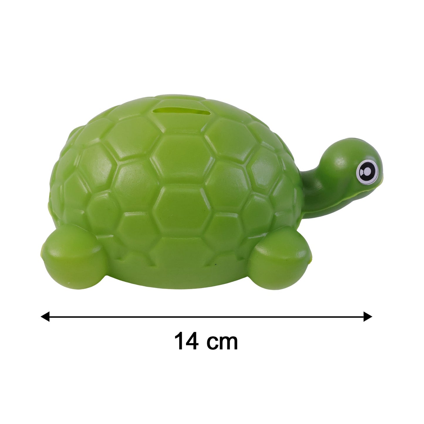 Display of small tortoise money bank size
