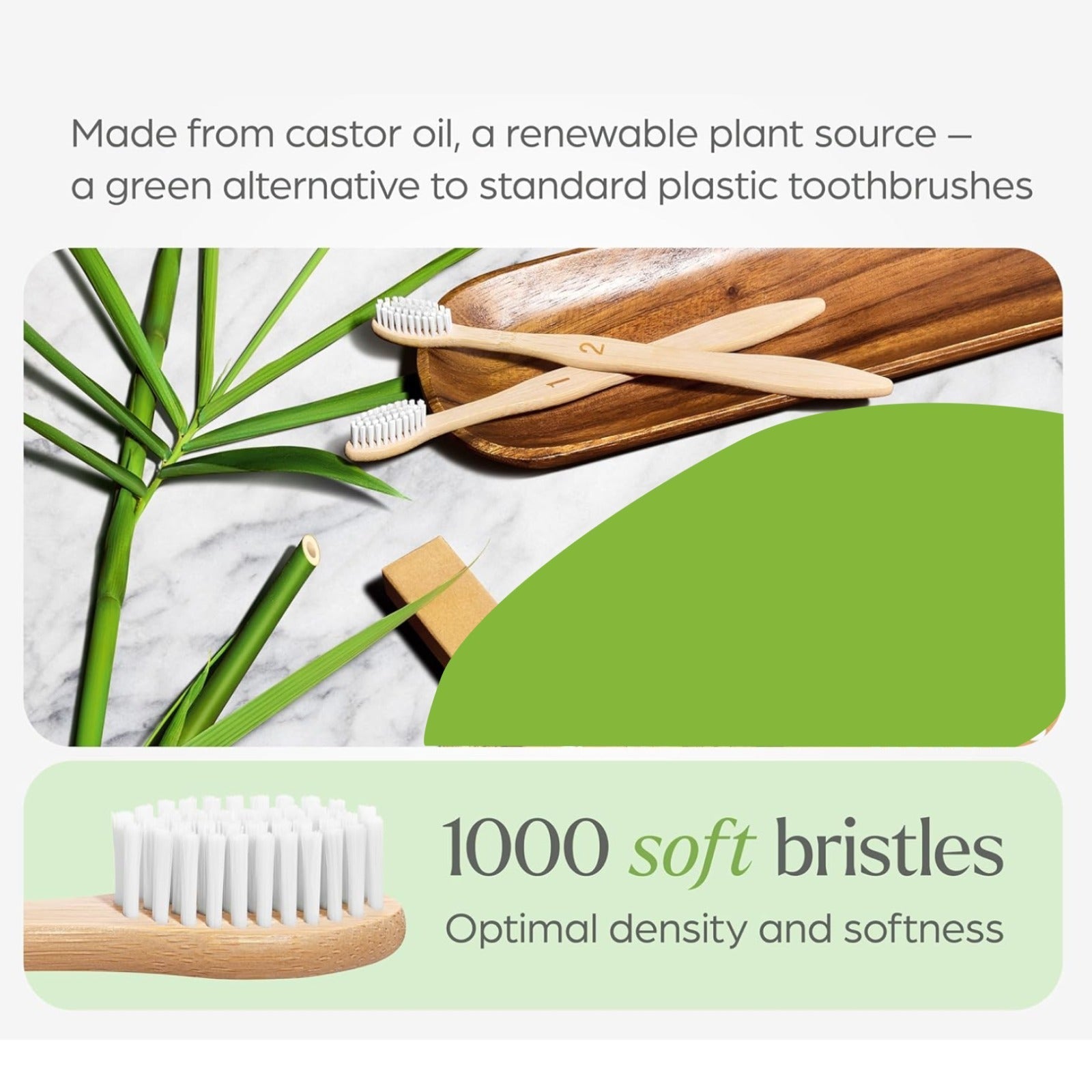 Two bamboo toothbrushes on a wooden tray with green plant stalks and text about castor oil bristles and 1000 soft bristles.