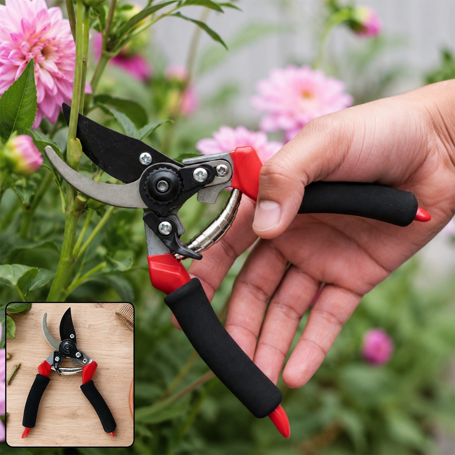 A hand holds red and black pruning shears to cut a pink dahlia stem, with an inset showing the shears on wood