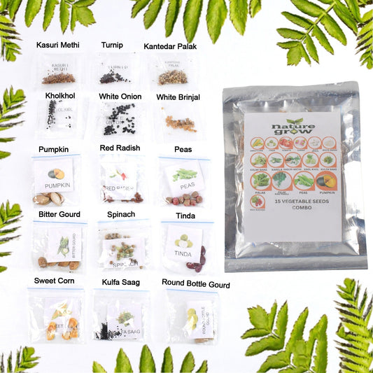 Seed packet showcasing 15 varieties vegetable seeds combo for home gardening